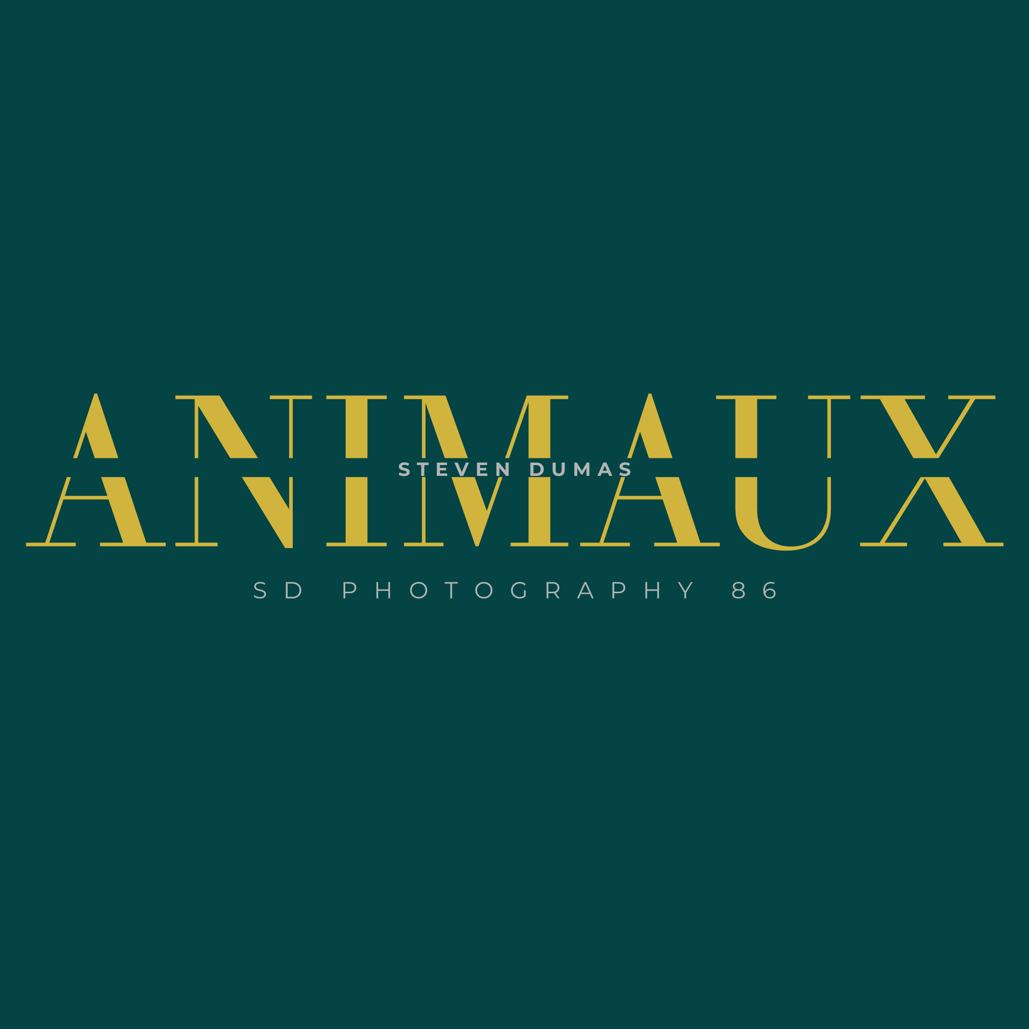 Animaux